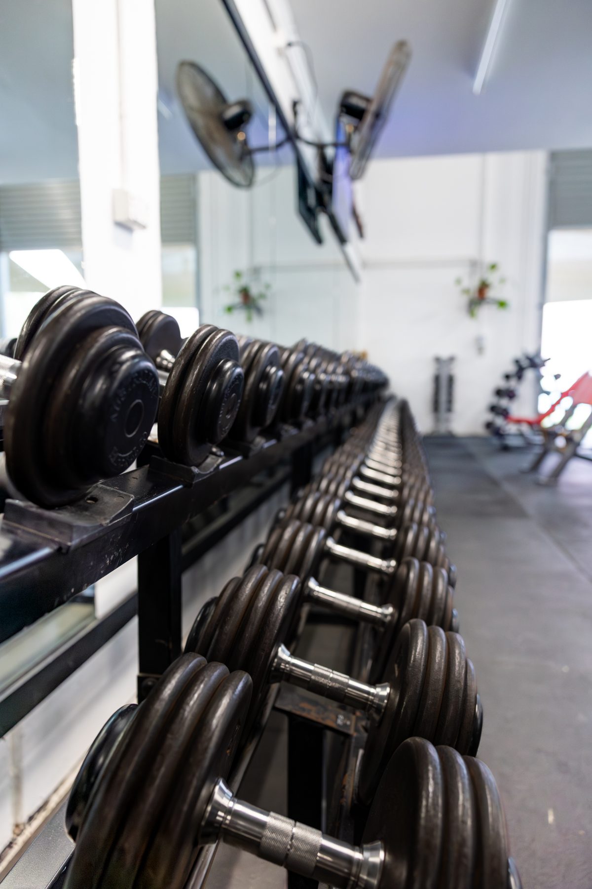 Dumbbell rack in the clinic gym